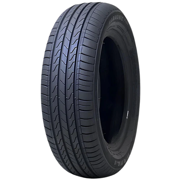 Pneu Carro 195/65R15 SP026 XL TL 95T Wanli