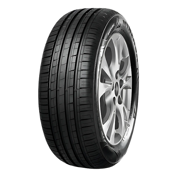 Pneu Carro 205/55R16 F209 SL TL 91V Minerva