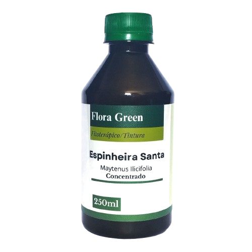 Espinheira Santa