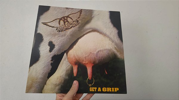 LP Aerosmith - Get a Grip (Duplo, Reedição 180g)