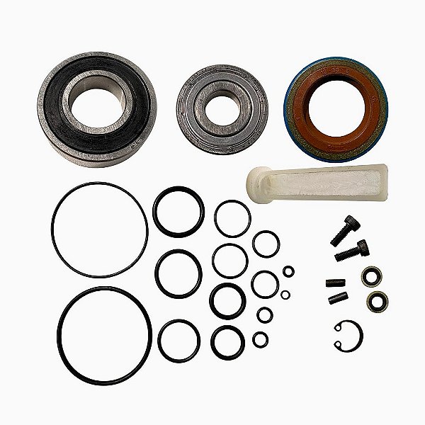 Kit Rolamento e Borracha de Vedação GTG 20 4081022090