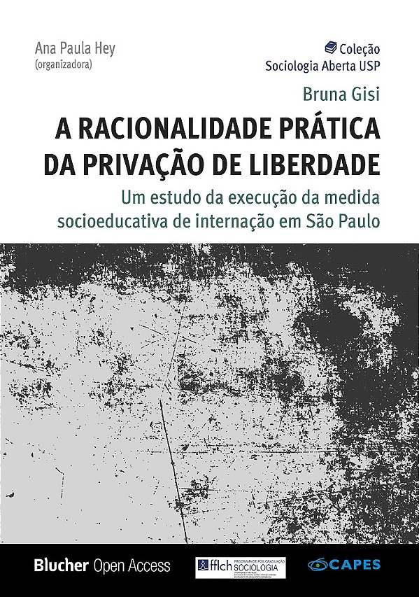 A Racionalidade Prática da Privação de Liberdade