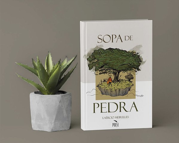 SOPA DE PEDRA