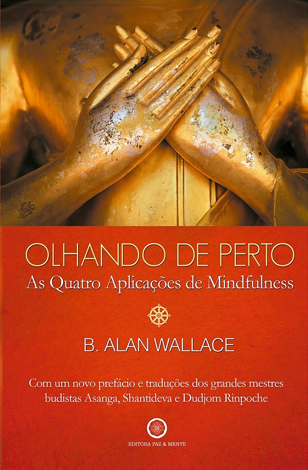 Olhando de Perto – As Quatro Aplicações de Mindfulness