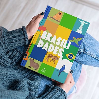 BRASILIDADES
