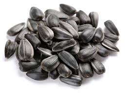 Semente de girassol grauda