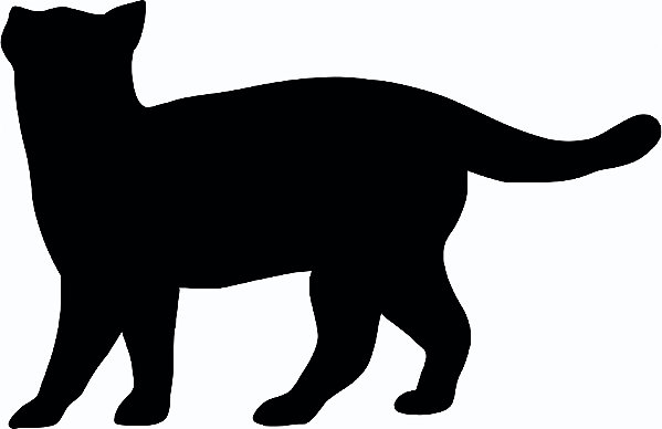 Placa Decorativa Gato 4 em Acrílico