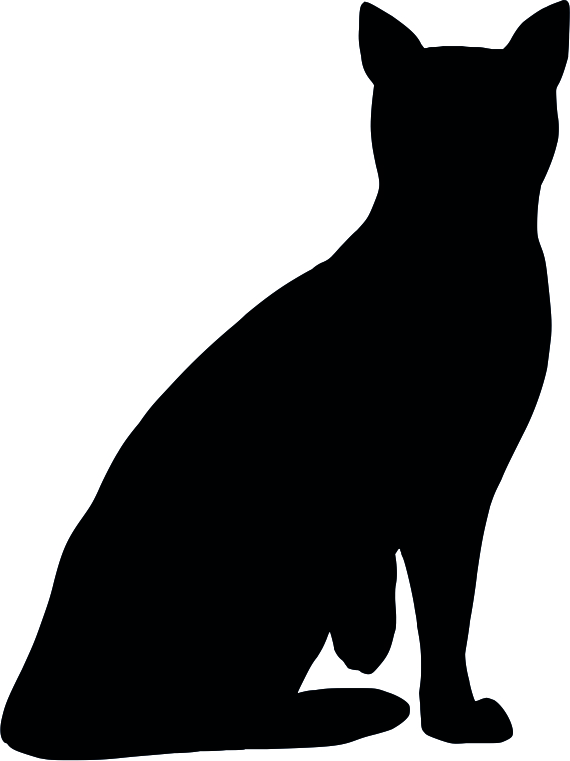 Placa Decorativa Gato 5 em Acrílico