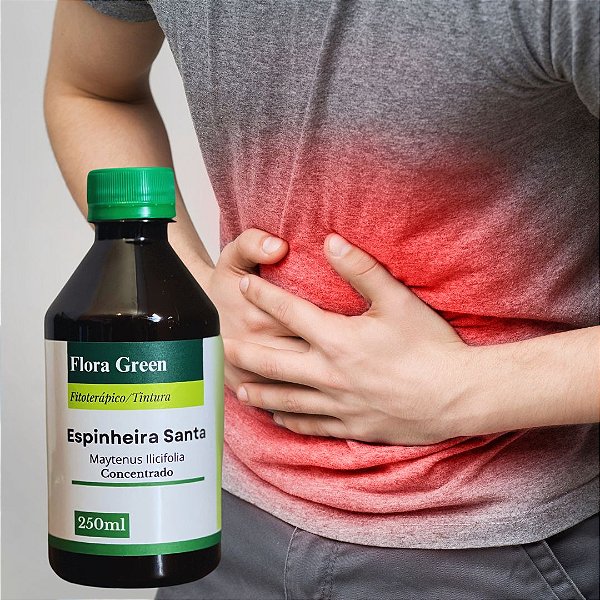 Kit Espinheira Santa 6 unidades