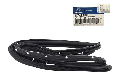 Borracha Porta Dianteira Lado Direito Hyundai Hr 2003 A 2012