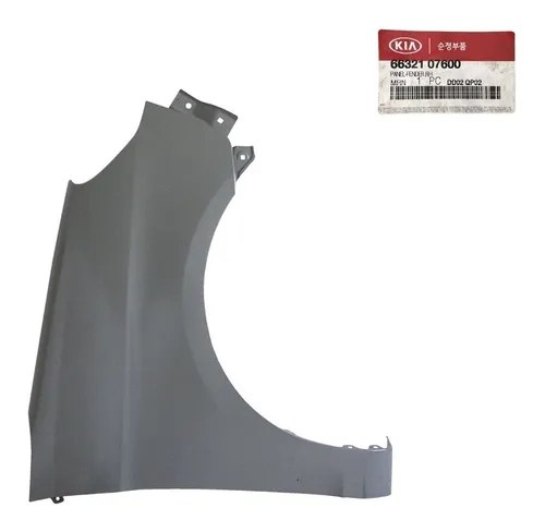 Paralama Lado Direito Kia Picanto 2007/11