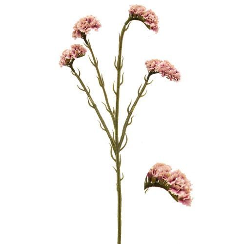 HASTE ESTATICE PREMIUM 63CM