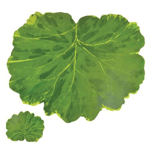 JOGO AMERICANO FOLHA DE ALFACE 45X39CM