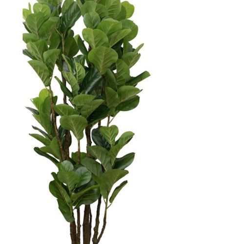 ARVORE FICUS LYRATA TOQUE REAL PREMIUM 1.90M