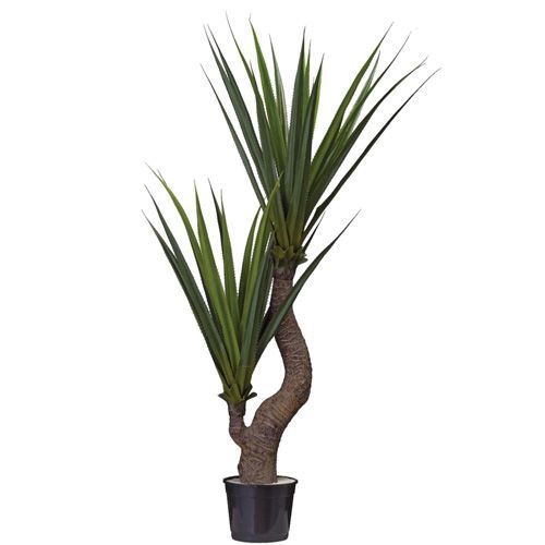 A. PANDANUS X2 160CM (VERDE)