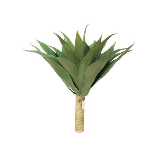 F. AGAVE DRAGAO 56X46 15CM