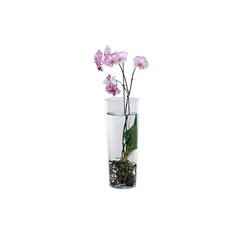 VASO COPO TRANSPARENTE 45X20X20CM