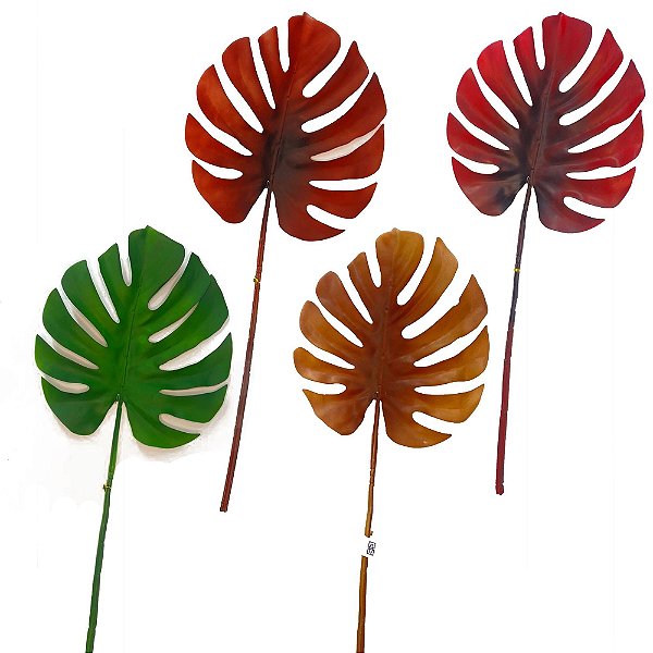 F. COSTELA DE ADAO EMB.