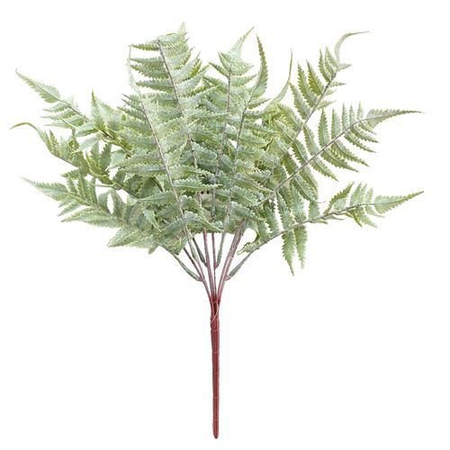 BQ. SAMAMBAIA OUTONADA