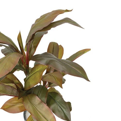 ARVORE CORDYLINE X76 120CM (VINHO)