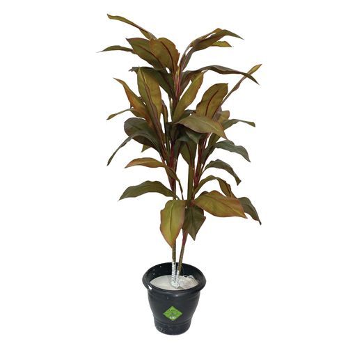 ARVORE CORDYLINE X76 120CM (VINHO)