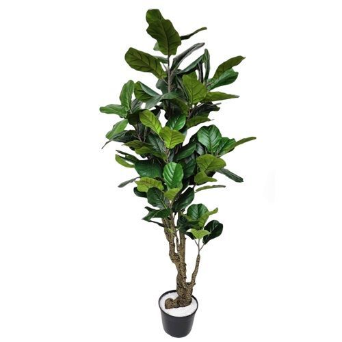 A. FICUS LYRATA 96 FOLHAS 180 CM COR VERDE