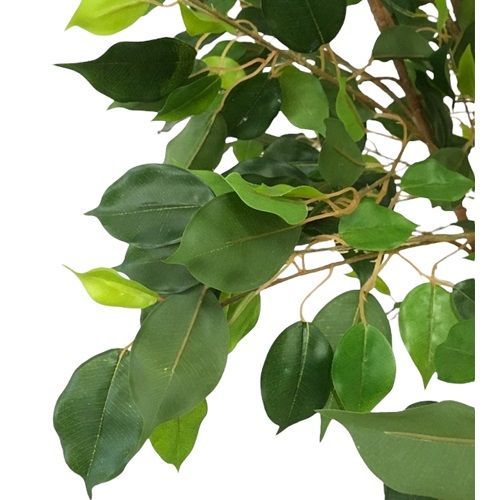 ARVORE FICUS SILICONE 1.60M