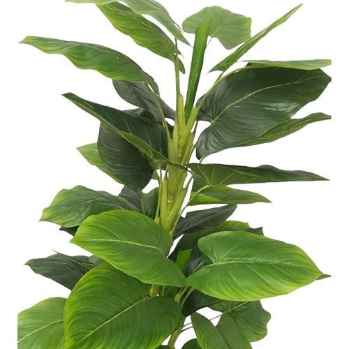 ARVORE FOLHA COPO DE LEITE 1.35M