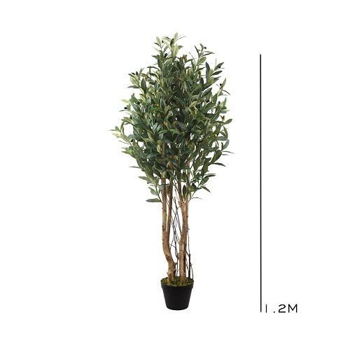 ARVORE OLIVEIRA PREMIUM 1.2 M