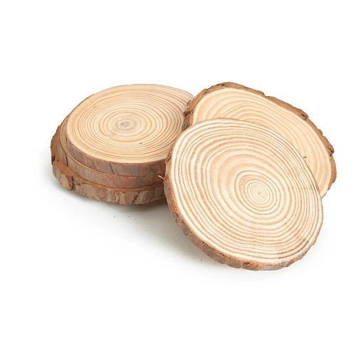 TRONCO DECOR MADEIRA 10CM JG COM 8