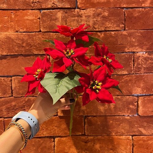 BICO DE PAPAGAIO 30CM