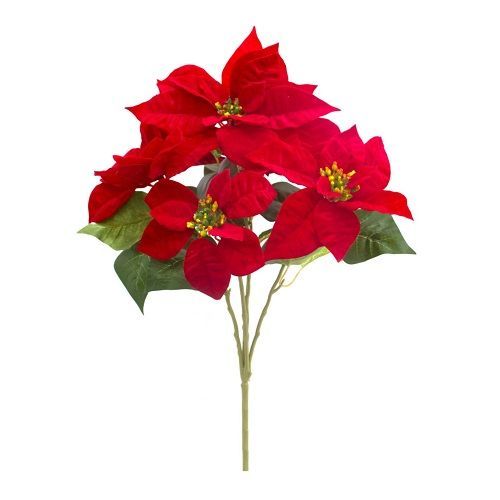 B. BICO PAPAGAIO AVELUDADO X5 PREMIUM 50CM