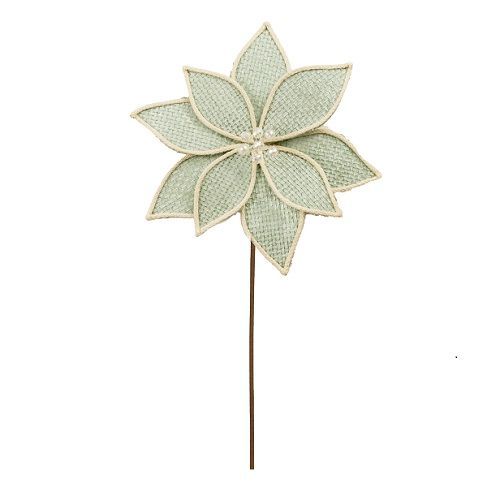 POINSETTIA MENTA X9 60CM