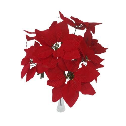 BICO DE PAPAGAIO X7 (44CM)