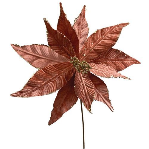 HASTE POINSETTIA ROSE