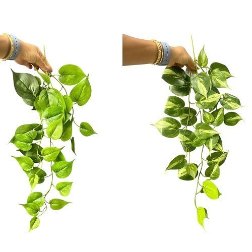 PENDENTE JIBOIA FOLHAGEM 68CM