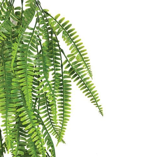 PENDENTE DE PLASTICO SAMAMBAIA 69CM