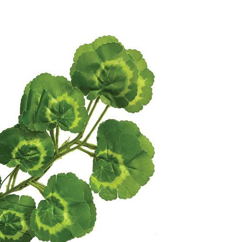 PENDENTE DE FOLHAGEM GERANIO 97CM