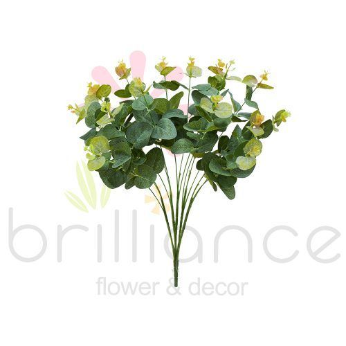 BUQUE EUCALIPTO X 15 55CM