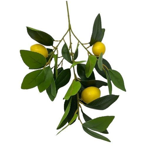 HASTE DE LIMAO SICILIANO COM FOLHAS 50CM