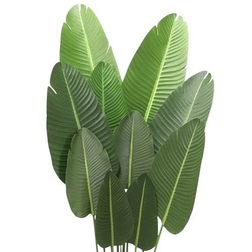 ARVORE DE BANANEIRA 1.6M