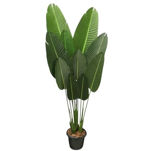 ARVORE DE BANANEIRA 1.6M