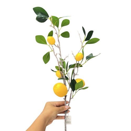 GALHO HASTE DE LIMAO SICILIANO C/5 29CM