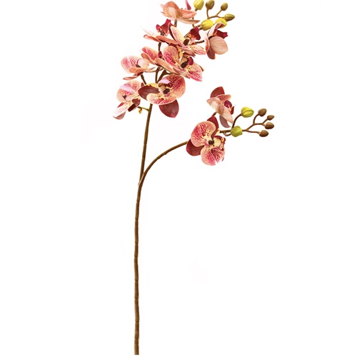 HASTE DE ORQUIDEA DE SILICONE PREMIUM 60CM
