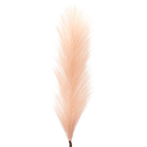 HASTE PLUMA (PAMPAS) PREMIUM 1M