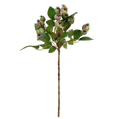 HASTE ARACA FRUTINHA VERDE 56CM