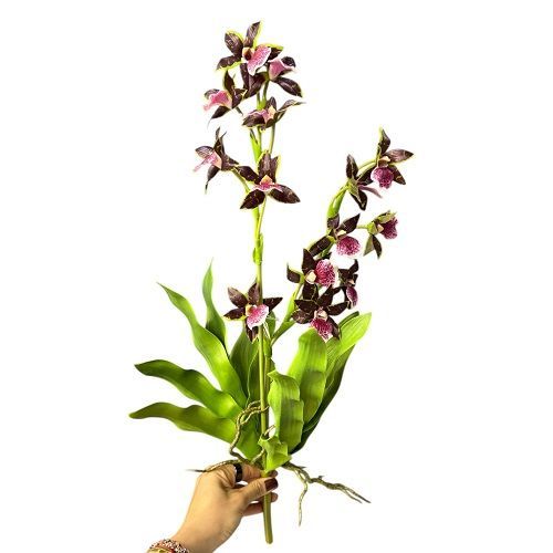 ORQUIDEA DENDROBIUM MAGENTA 56CM PREMIUM