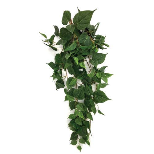 PENDENTE DE FOLHAGEM JIBOIA PREMIUM 95cm