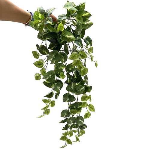 PENDENTE DE JIBOIA 78CM