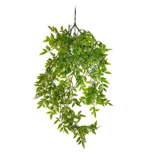 PENDENDE MINI FICUS 80CM